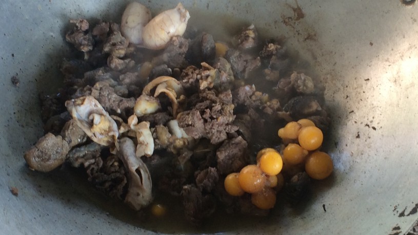 Turtle curry