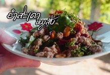 ยำสะเดาหมูสับ ยำสะเดาหมูสับ