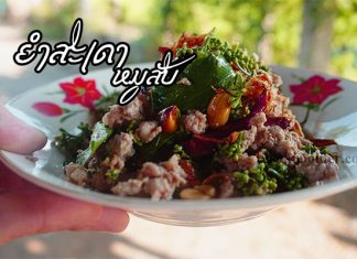ยำสะเดาหมูสับ ยำสะเดาหมูสับ