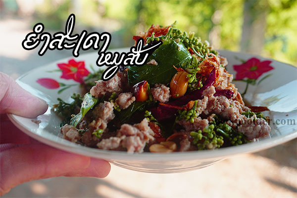 ยำสะเดาหมูสับ